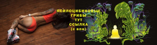 спиды Медногорск
