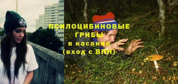 спиды Медногорск