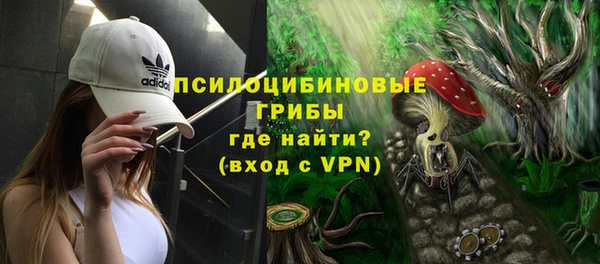 спиды Медногорск