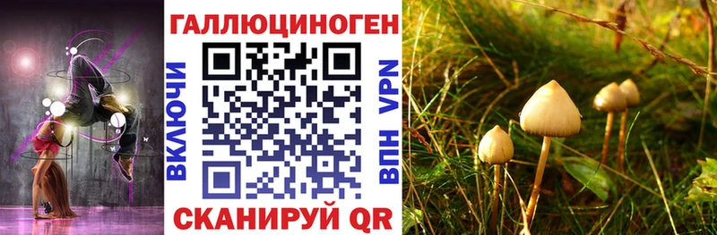 где продают наркотики Харабали Галлюциногенные грибы Magic Shrooms